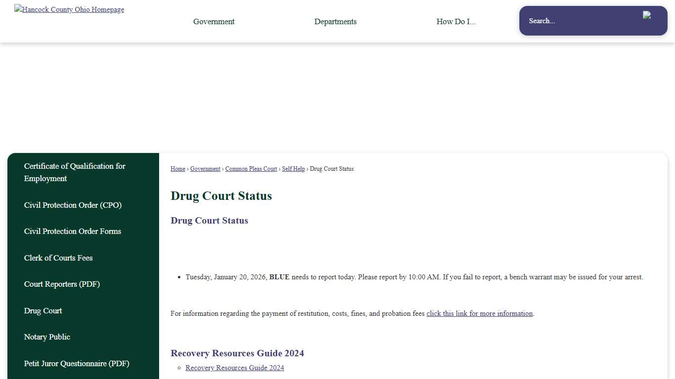 Drug Court Status | Hancock County, OH